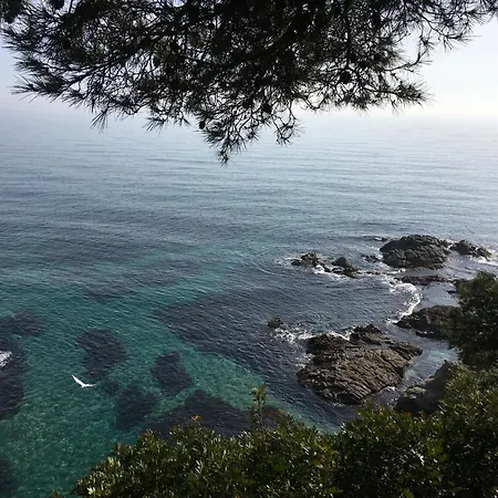 Апартаменты Vivalidays Katalin - Fenals - *