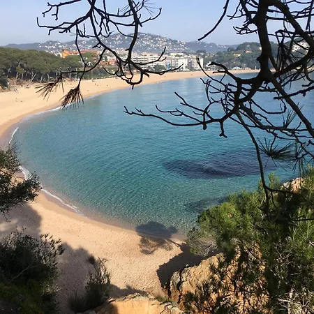 Vivalidays Katalin - Fenals - شقة *