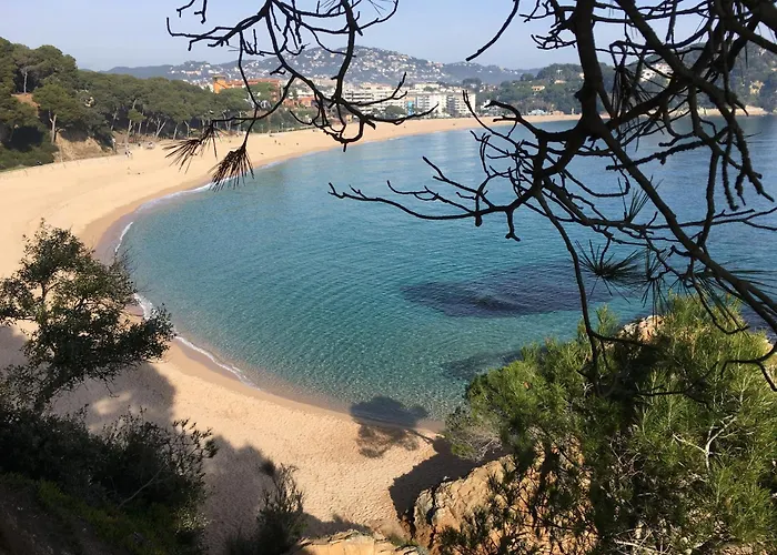 Vivalidays Katalin - Fenals - Apartman *